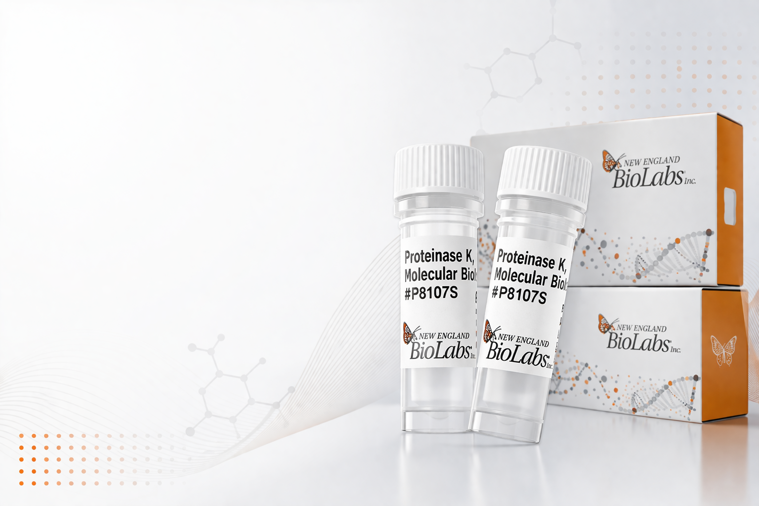 Протеиназа<br>К New England Biolabs (NEB), P8107S<br>В НАЛИЧИИ